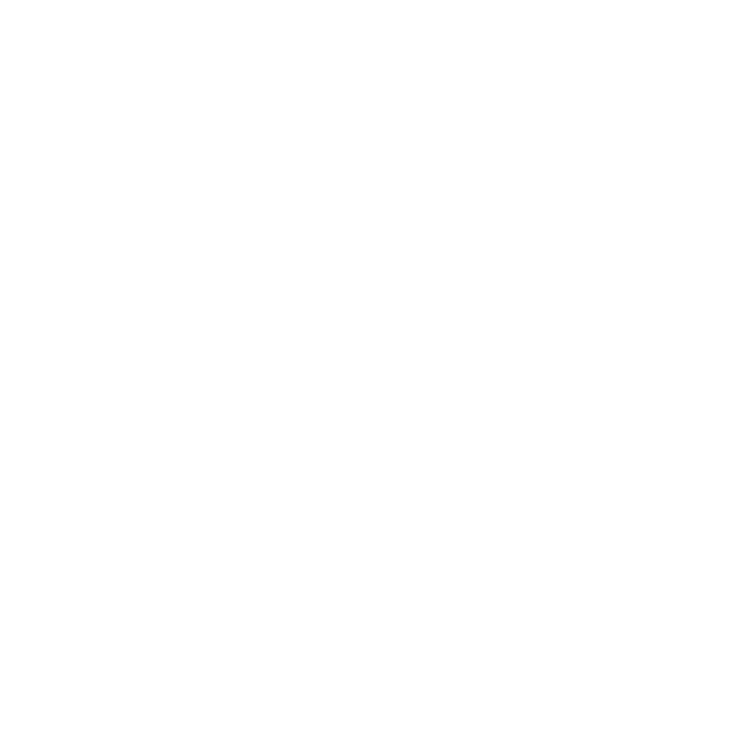 Circular logo showing stylized silhouettes of a manta ray, whale, and sea turtle arranged around a central swirl above bold text reading "MARINE MEGAFAUNA FOUNDATION"