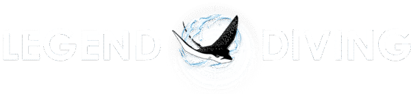 Stylized logo reading "Legend Diving" with a spotted manta ray leaping through a circular splash of water between the words