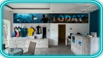 Lembongan Retail shop interior with Legend Diving logo signage, wetsuits and gear on display and a wooden counter in a bright showroom.