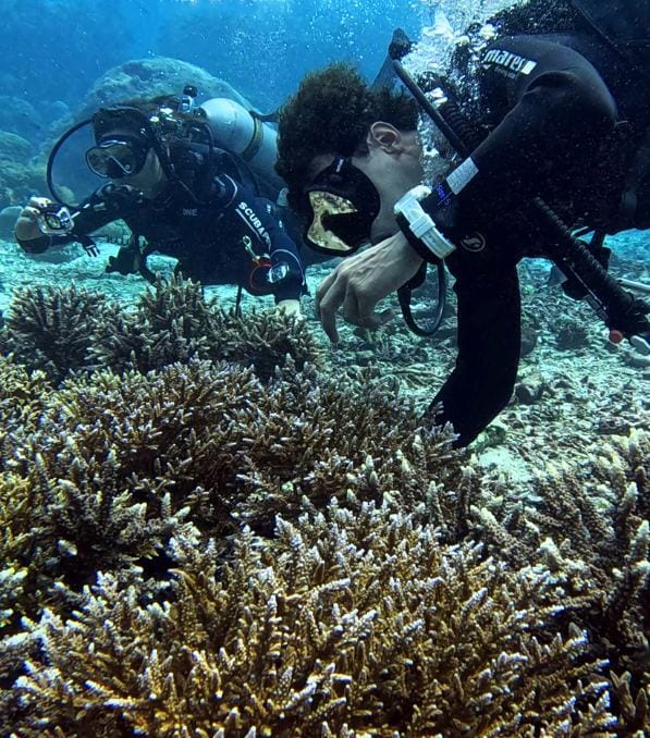Two divers from Legend Diving inspecting shallow coral reef while bubbles rise around them underwater