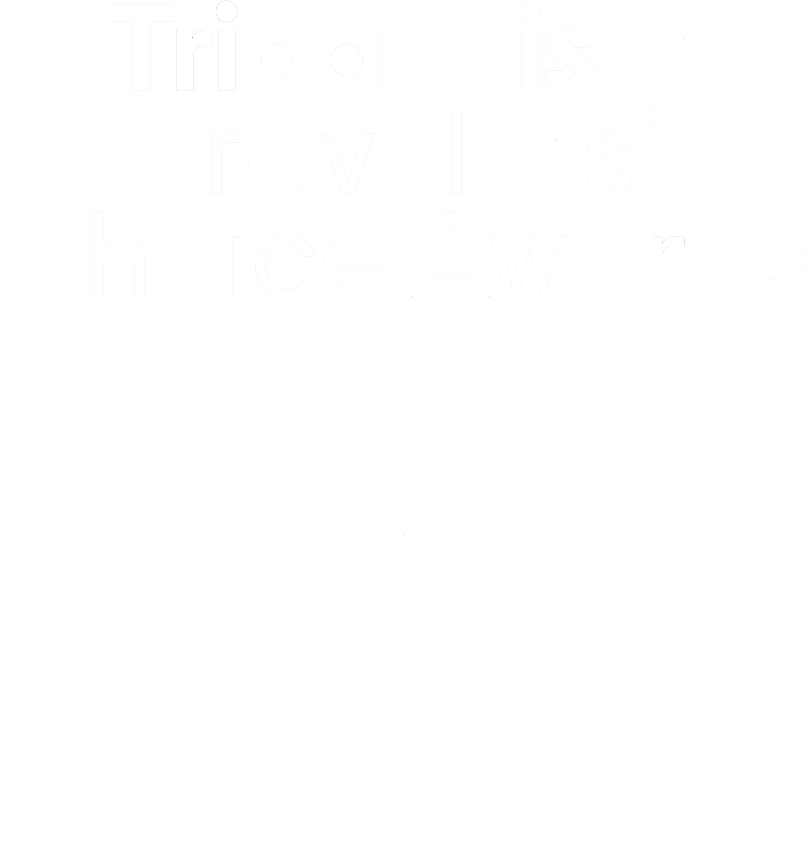 TA-LOGO-2025 Tripadvisor Travelers' Choice Awards logo with owl icon and laurel wreath elements