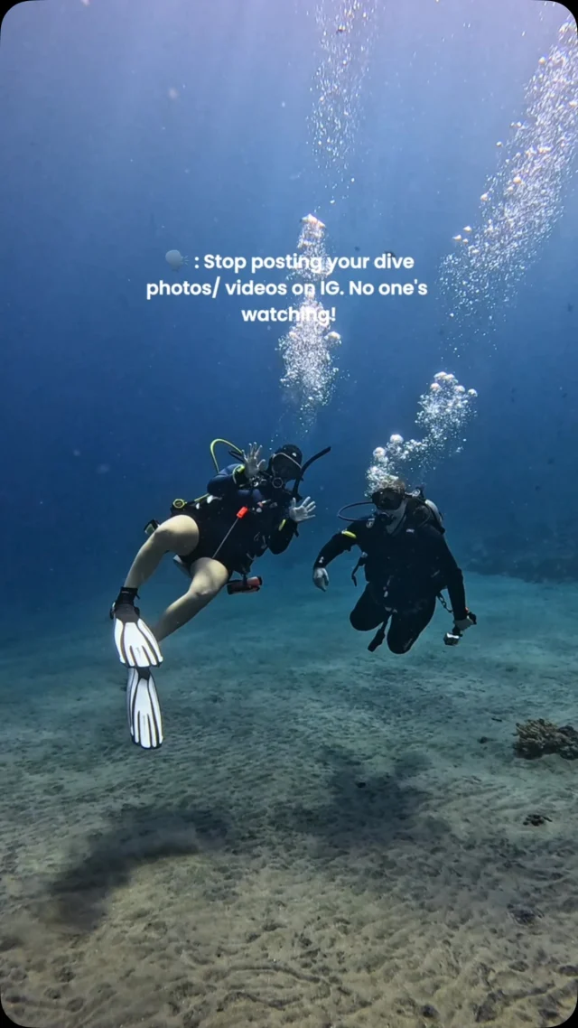 🗣️: “No one’s watching your dive photos/videos.”
My mom: watching, liking, and sharing every single one 😂❤️
.
#scubadiverlife #scubahumor #divingmemes #scubadiver #scubagirl